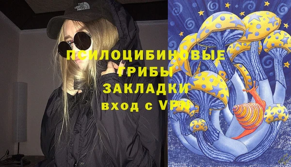 амф Богданович