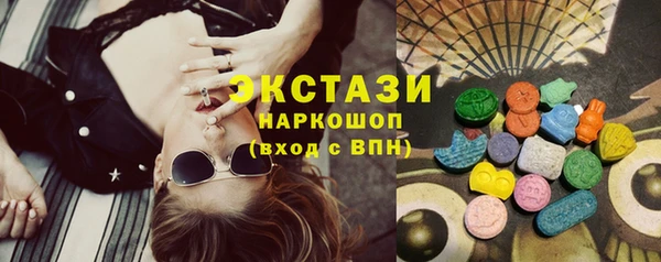 крисы Богородицк