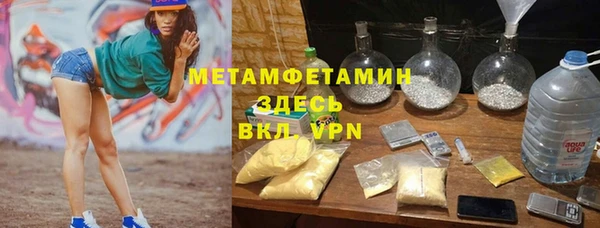 крисы Богородицк