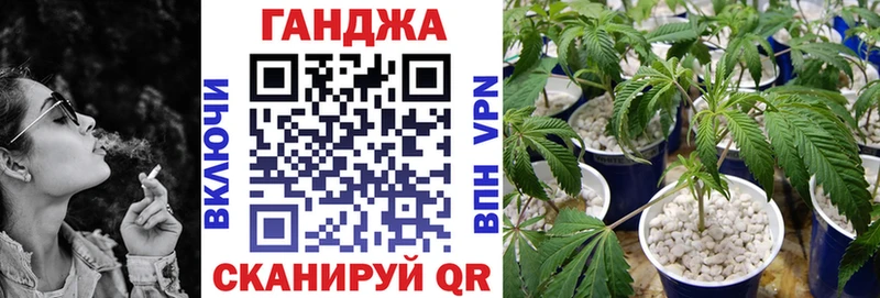 площадка как зайти  Михайловск  Бошки марихуана тримм 